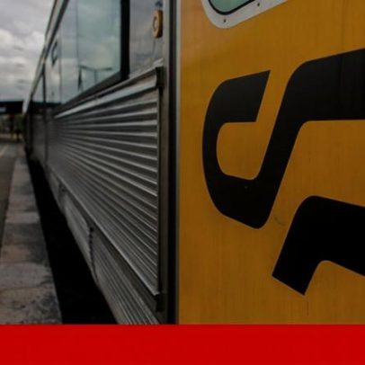 Comboio regional atropela e mata 100 ovelhas em Montemor-o-Velho