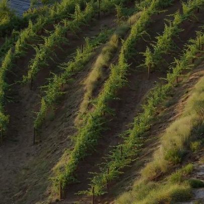 Plano de ação para o Douro será apresentado até 31 de março
