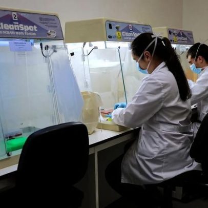 i3S mimetiza tumores cerebrais para adaptar fármacos