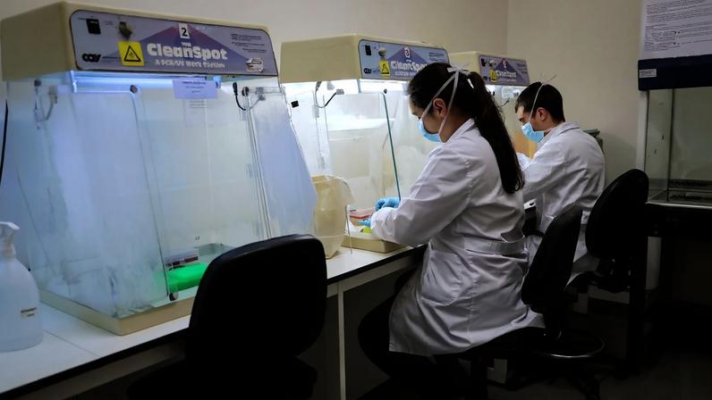 i3S mimetiza tumores cerebrais para adaptar fármacos