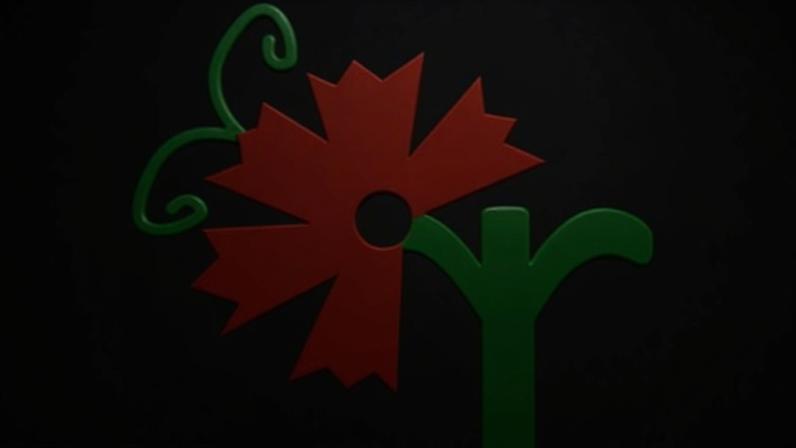 Rádio Castelo Branco