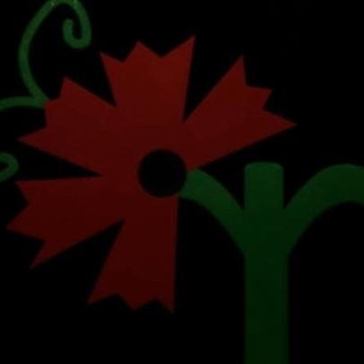 Centro Ciência Viva da Floresta oferece pinheiros de Natal gratuitos
