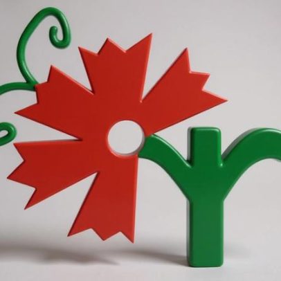 Bairro Feliz tem 5 projetos vencedores em Castelo Branco