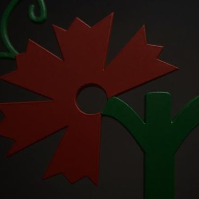 Álvaro recebe projeto-piloto da Rede das Aldeias de Nova Geração