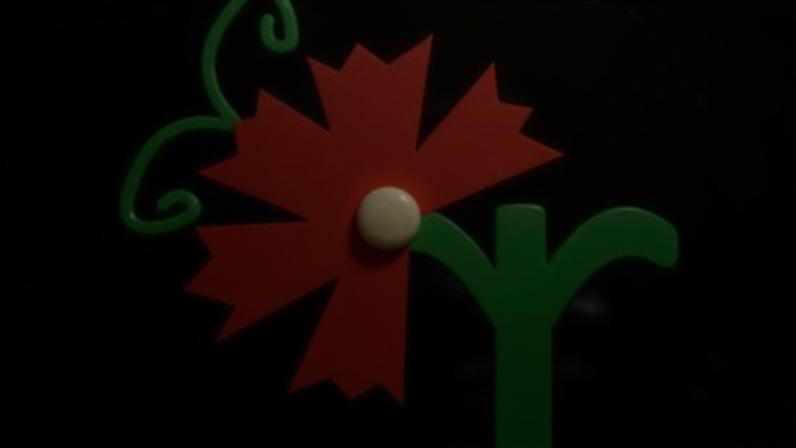 ACAPO destaca inclusão durante visita à exposição Telefones do Mundo