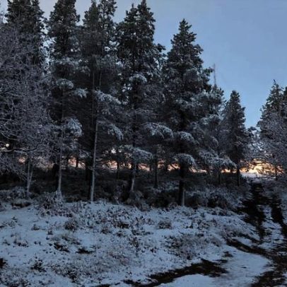 Vários distritos cobertos de branco com queda de neve neste domingo