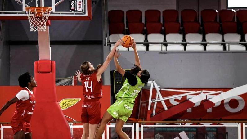 Lance do jogo de basquetebol Benfica-Barcelos no Pavilhão da Luz - Foto: FPB