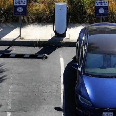 Governo prepara novos cheques para elétricos no valor de 20 milhões