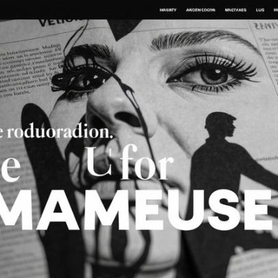 Gorila a dançar protagoniza as fotos mais cómicas de animais