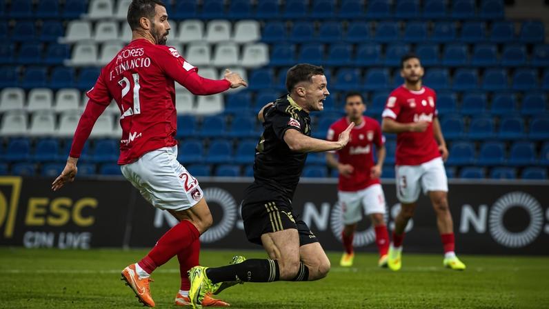 Açorianos e caçador na captura de gansos (crónica)