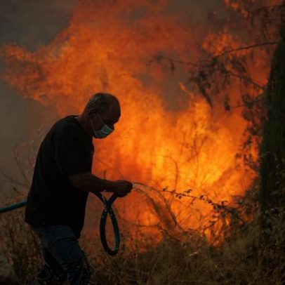 UE regista 8.343 fogos florestais em 2024
