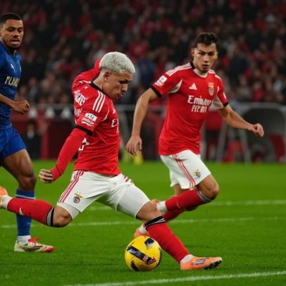 Benfica: o valioso esforço na temporada