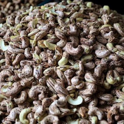 Castanha de caju moçambicana sobe até 19%