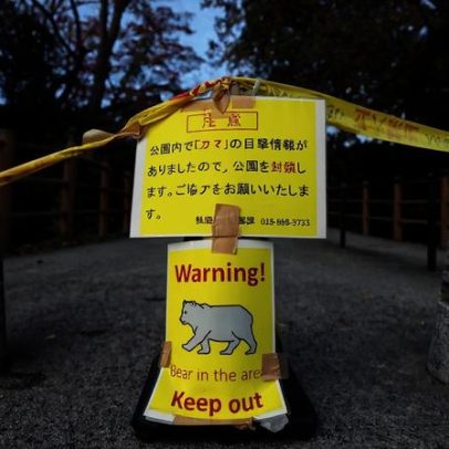 Japão regista 230 ataques de ursos e 13 mortos neste ano