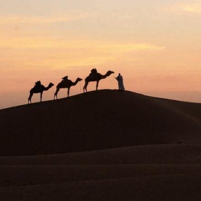Antigos povos caçavam camelídeos extintos, revela estudo arqueológico