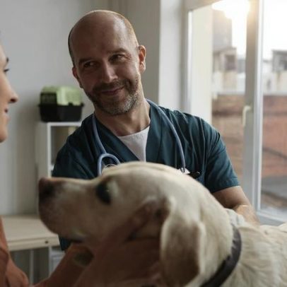 Centro de Recolha Oficial de Animais do Porto suspende adoções no Natal