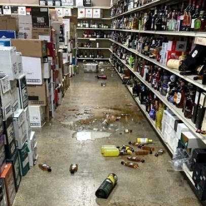 Guaxinim embriagado entra numa loja de bebidas.