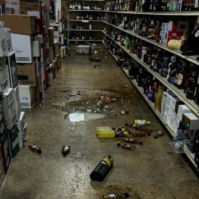 Guaxinim embriagado em loja de bebidas