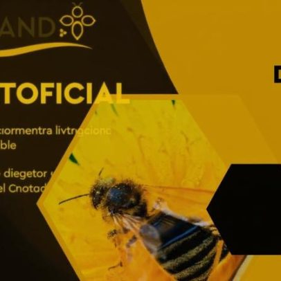 Projeto Beeland apresenta resultados na sessão de encerramento em Castelo Branco