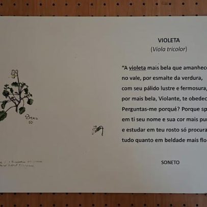 Exposição de plantas na obra de Camões patente na Biblioteca de Anadia