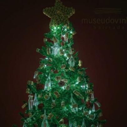 Museu do Vinho Bairrada tem horários especiais no fim de semana prolongado