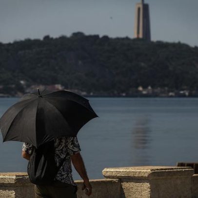 UC integra projeto que redefine relação entre cidades e natureza
