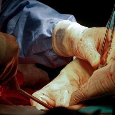 Investigadores de Coimbra e Porto descobrem nova fórmula para o coração