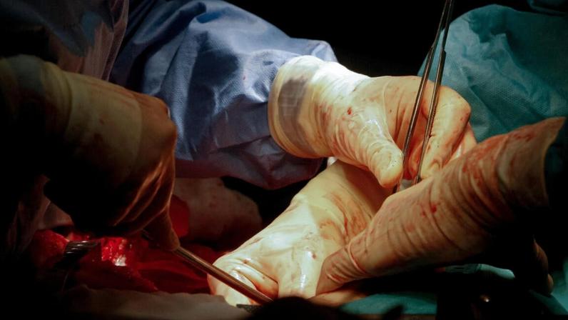 Investigadores de Coimbra e Porto descobrem nova fórmula para o coração