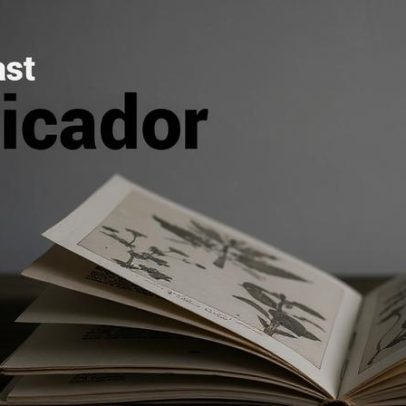 Consenso sobre a reforma da justiça torna-se cada vez mais evidente