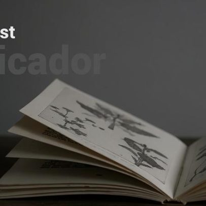 Gouveia e Melo ou Seguro: quem é o candidato principal do PS?