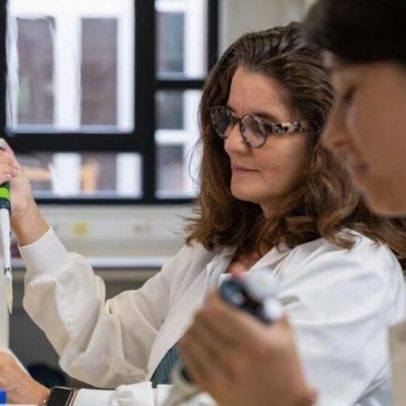 Bactéria identificada reduz inflamação intestinal e trava infecção