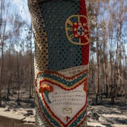 Emigrantes afetados pelos incêndios em Portugal podem receber indemnizações