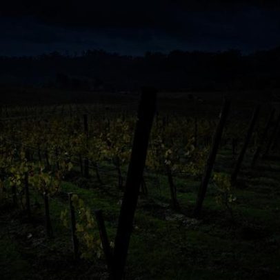 Tribunal suspende funcionários detidos por conluio no negócio do vinho verde