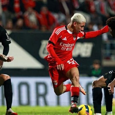 Rúben Fernandes afirma que Benfica vive o seu melhor momento