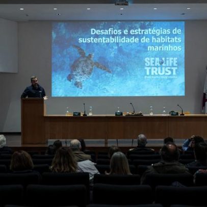 Ílhavo recebe a 2.ª edição das Jornadas do Aquário para debater o oceano