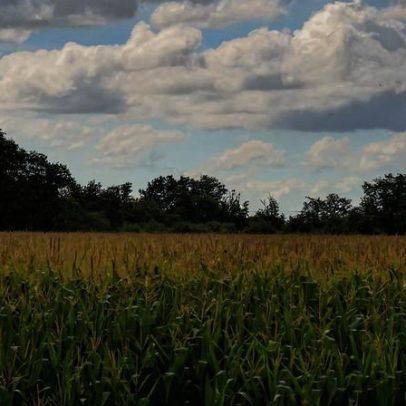 Gulbenkian apoia gestão sustentável da água e do solo em Coruche e Golegã
