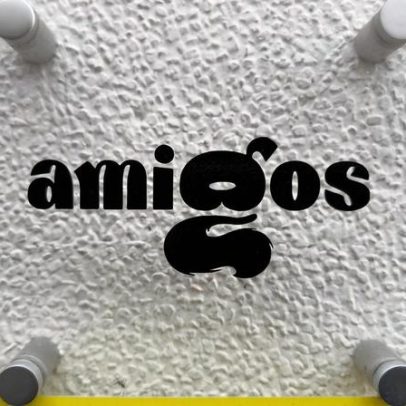 Amigos dos Animais de Coruche suspendem recolha de animais devido à Câmara