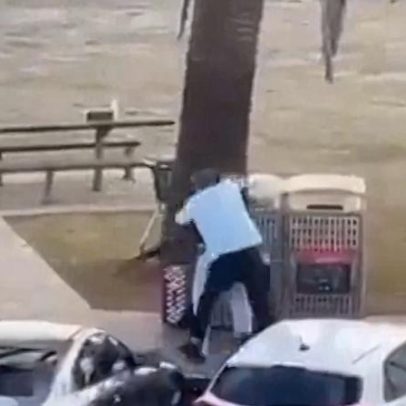 Austrália: ataque de pai e filho que matou 15 em Sidney em dois minutos