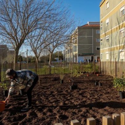 Moradores do Matadouro exigem solução urgente para falhas de luz