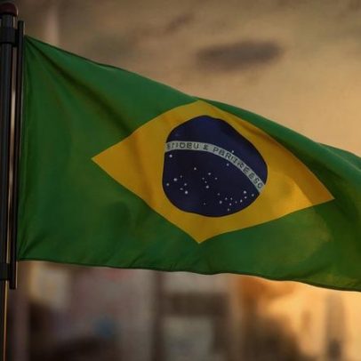 Deputado brasileiro é retirado à força do plenário e transmissão é cortada