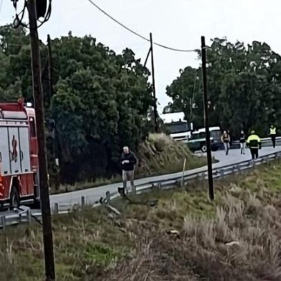 Jovem morre em despiste em Idanha-a-Nova