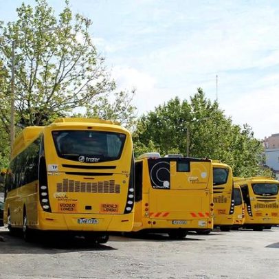 Carris Metropolitana anuncia 111 reforços de horário e ajustes na Área 4 Lisboa