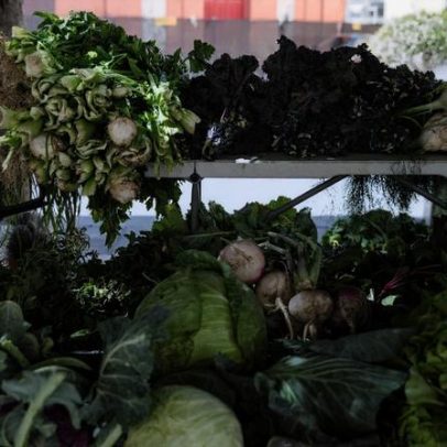 Cinfães apresenta edições especiais da Feira da Terra neste Natal