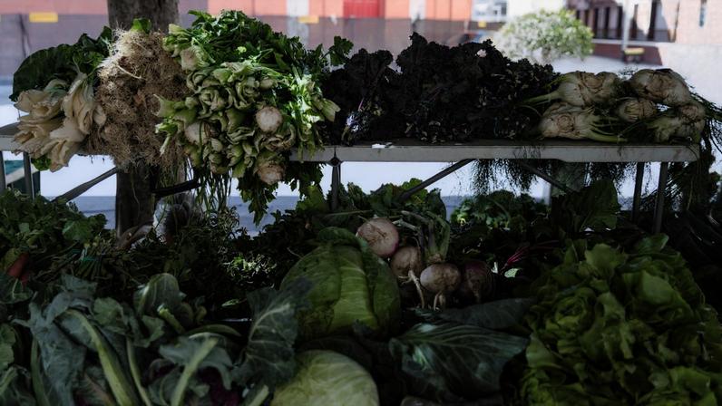 Cinfães apresenta edições especiais da Feira da Terra neste Natal