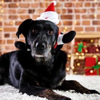 Concurso fotográfico Companheiros de Natal 2025 regressa ao concelho de Paredes