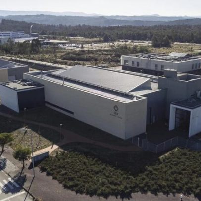 CTCV celebra 40 anos com plantação de 40 espécies autóctones