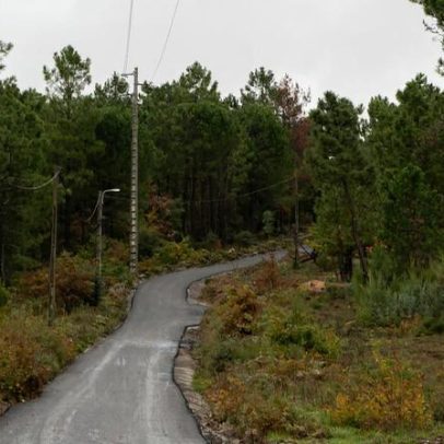 Junta de Freguesia conclui alcatroamento do Caminho da Quinta das Moitas