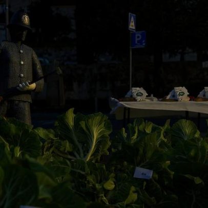 Celorico da Beira realiza o 13º Concurso Couve de Natal