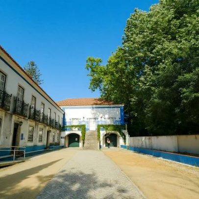 Solar dos Zagallos recebe exposição 'Quando for grande quero ser um pássaro'