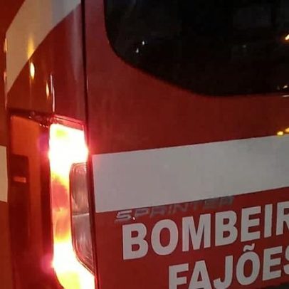 Incêndio em aviário mata pintos